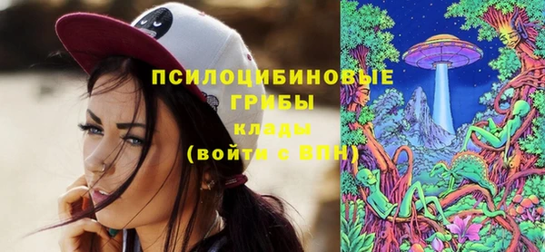 молекула духа Алзамай