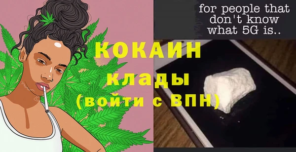 шишки Кинешма