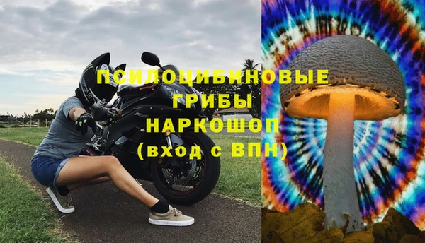 спайс Дмитриев