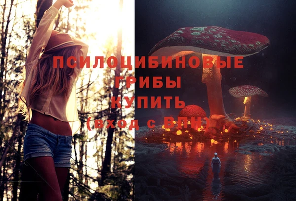 спиды Алексин