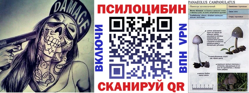 магазин    Болохово  Псилоцибиновые грибы мицелий 
